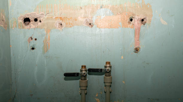 Best Professional water damage repair  in Keller, TX