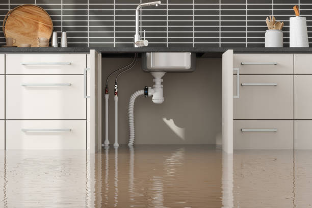 Best Carpet water damage restoration  in Keller, TX