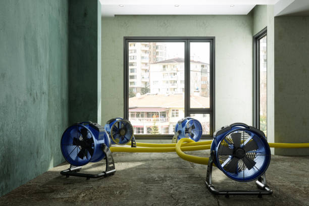 Best Water damage restoration cost  in Keller, TX